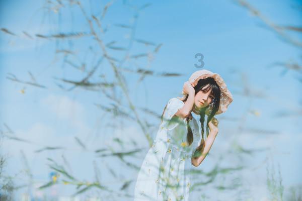 钟离之战为何会爆发及结果?-知识星球平台,探索无限知识的乐园